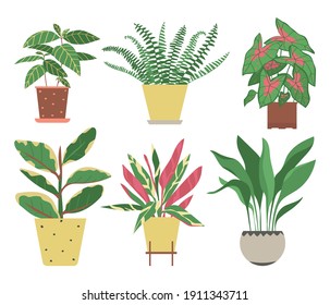 Set of home plants isolated on a white background. Collection of indoor plants in pots. Home decor. Vector illustration in flat style