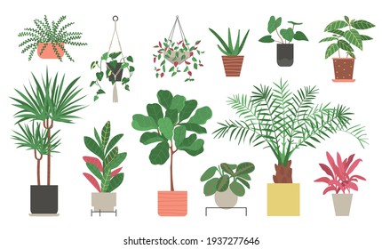 Set of home plants isolated on a white background. Collection of indoor plants in pots. Home decor. Vector illustration in flat style