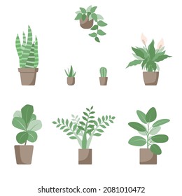 Set of home plants isolated on a white background. Collection of indoor plants in pots. Home decor. Vector illustration in flat style