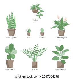 Set of home plants isolated on a white background. Collection of indoor plants in pots. Home decor. Vector illustration in flat style