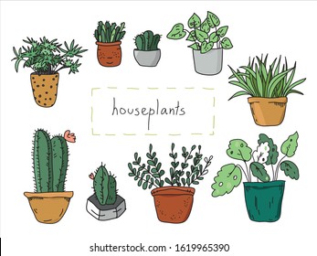 Set of home plants isolated. Vector illustration of indoor plants, indoor and office plants in a pot on a white background.