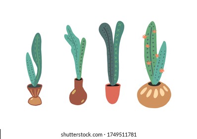 Conjunto de plantas en macetas. 
