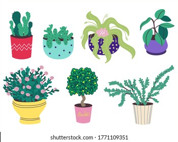 A set of home plants in pots. Cacti, ficus, rose, bonsai. Decorative flowers and greenery in flower pots.Gardening. Flower pots isolated on a white background.Flat vector stock illustration