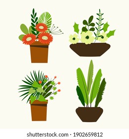 Set of home plants in pots in flat style, abstract, hand drawn, clipart,  concept, banner, postcard, vector illustration.
