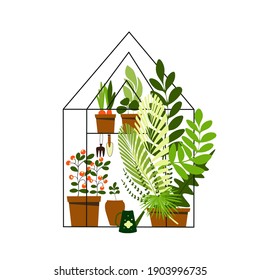 Set of home plants in pots in flat style, greenhouse, gardening, abstract, hand drawn, clipart,  concept, banner, postcard, vector illustration.