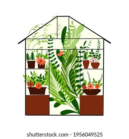 Set of home plants in pots in flat style, flowers, palm leaves, garden,  cottage, building, greenhouse, gardening, abstract, hand drawn, clipart,  concept, banner, postcard, vector illustration.