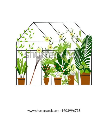 Set of home plants in pots in flat style, greenhouse, gardening, abstract, hand drawn, clipart,  concept, banner, postcard, vector illustration.