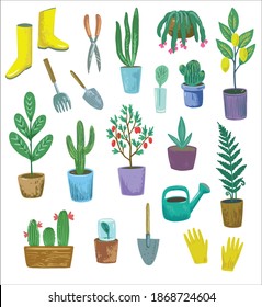Set with home plants in the pots and gardening equipment.