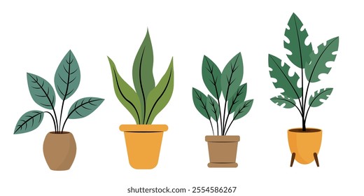 Set of home plants in pots on a white background. Vector illustration, flat.