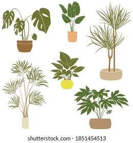 Set of home plants vector illustration. trendy house decor elements, house plants in pods for your blog or site web design.