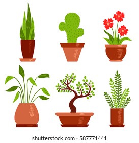 Set of home plants. Vector illustration. Isolated on white.