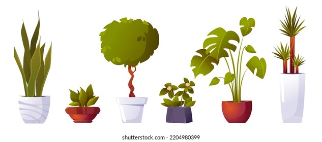 Set of home potted plants and trees in flowerpots. Domestic tropical decorative palms, houseplants in ceramic pots, interior or landscaping decor isolated design elements, Cartoon vector illustration