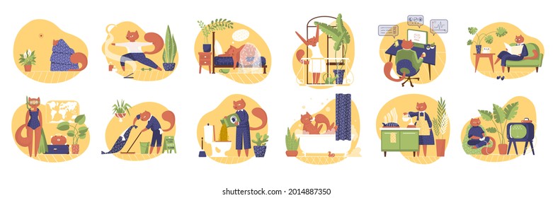 Set with home sitting situations. Cat life. Vector illustration in flat style. Animals like people. Sleeping, cooking, playing games, toilet, washing, procrastinating, yoga, joying, working, reading.