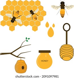 Set of Honey Bee, Honey Comb,
Honey and products isolated on white background.