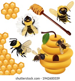 Set Honey bee, wasp, bumblebee, honeycomb, beehive, honey dipper with honey on white background. 3d Vector icon.