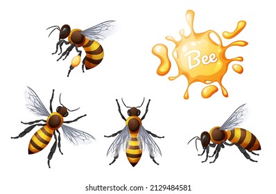 Set of honey bees. Flying and crawling insects. Suitable for the design of stickers, websites, prints, etc.