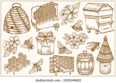 Set of honey, bees, honeycomb, beehives, jars and pot. Vector illustration in graphic hand draw sketch style. Linear Art. Organic healthy food. Products for Logo, labels cards and brochures