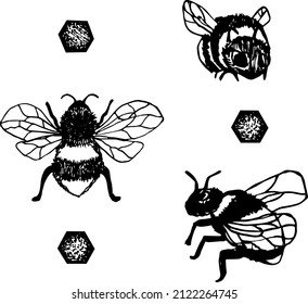 Juego de abejas. El vector esboza el fondo de la ilustración dibujada a mano. 
