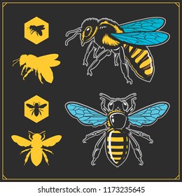 Set of honey emblems and design elements. Honeycombs, bee silhouettes.