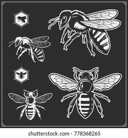 Set of honey emblems and design elements. Honeycombs, bee silhouettes.