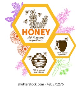 Set of honey labels and design elements.