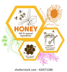 Set of honey labels and design elements.