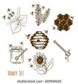 Set of honey labels and design elements.