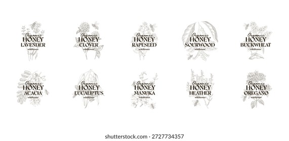 Conjunto de etiquetas de miel Vector