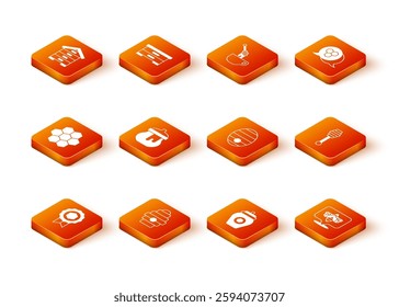 Set Honey medal, Hive for bees, Honeycomb, Jar of honey, Bee and dipper stick icon. Vector