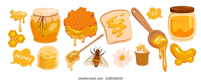 Set of honey products. Jar of honey, bee insect, honey dipper, honeycomb, natural organic product, healthy sweet food, sugar dessert, melting honey on bread vector illustration