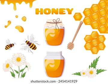 Juego de productos de miel. Tarro de miel, cucharas de miel, cuchara, abejas en las flores, panal de abejas, producto orgánico natural, alimentos dulces saludables, postre de azúcar, Ilustración vectorial de miel de fusión