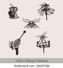 Set for honey sketches. Abstract design of a bee.