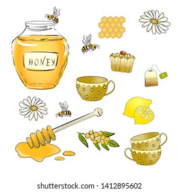 A set of honey and tea. bees, wooden honey dipper, glass jar full of honey, lemons, tea bag, cups, cupcake. Organic and natural product.Vector illustration in flat style on white background.