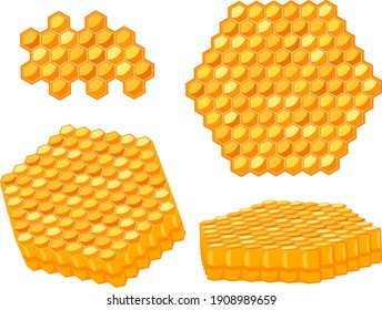 Set of honeycombs of honey of different shapes on a white