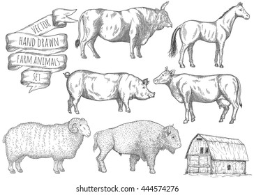 Set of hoofed farm animals vector illustrations.