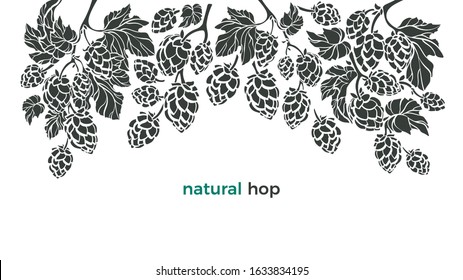 Set of hop. Vector botany border. Bio beverage. Art illustration, nature pattern on white background. Herbal cone, leaf, branch. Simple organic design for beer print, pub. 