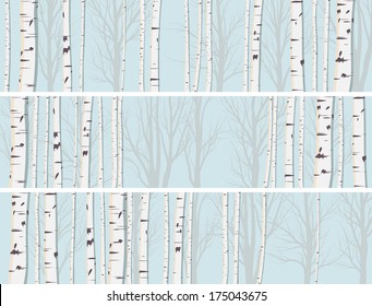 Set of horizontal abstract banners of birch trunks forest.