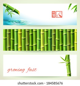 Set of Horizontal Bamboo Banners. Vector illustration, eps10, editable.