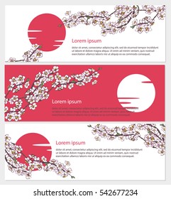 Set of horizontal banners with beautiful hand drawn pink sakura branch, flowers and sun vector illustration