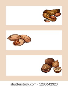 Set of horizontal banners with colored cartoon nuts. Peanut, hazelnut and pecan. Objects separate from the background. Vector template for menus, sites, cards and your design.