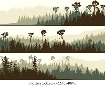 Set of horizontal banners of coniferous dark green forest valley.