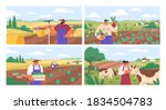 Set of horizontal banners with farmers picking crops, taking care of cows, making hay. People at farm vector flat illustration. Scenes with agricultural workers on farmland isolated. Harvest season