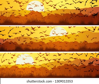 Set of horizontal banners with flock of birds at sunset over meadow.