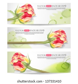 Set of horizontal banners with flowers