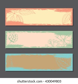 Set of horizontal banners with ginseng root and leaves. Medicinal herbs vintage banners. Botanical banners design. Grunge banners with ginseng.