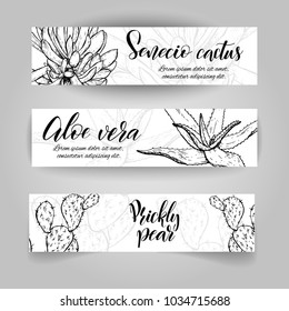 Set of horizontal banners with hand drawn cactuses, sketch style vector illustration isolated on white background. Wild floral exotic tropical plant. Black and white