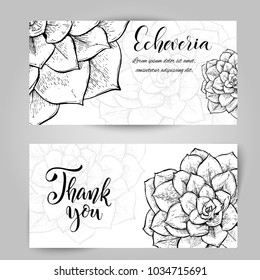 Set of horizontal banners with hand drawn Echeveria, sketch style vector illustration isolated on white background. Wild floral exotic tropical plant. Black and white of Echeveria cacti, top view.