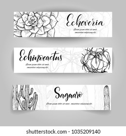 Set of horizontal banners with hand drawn cactuses, sketch style vector illustration isolated on white background. Wild floral exotic tropical plant. Black and white