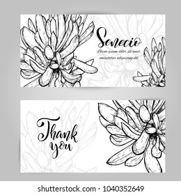 Set of horizontal banners with hand drawn senecio, sketch style vector illustration isolated on white background. Wild floral exotic tropical plant. Black and white of senecio cacti