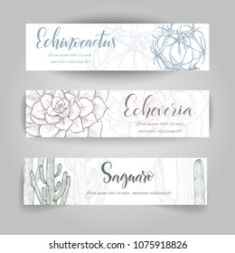 Set of horizontal banners with hand drawn cactuses, sketch style vector illustration isolated on white background. Wild floral exotic tropical plant. Black and white